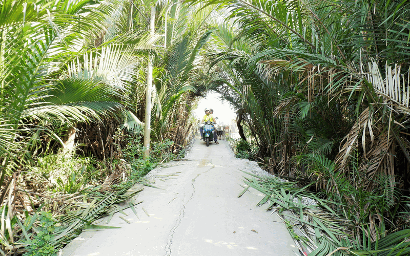 vespa tours Vietnam